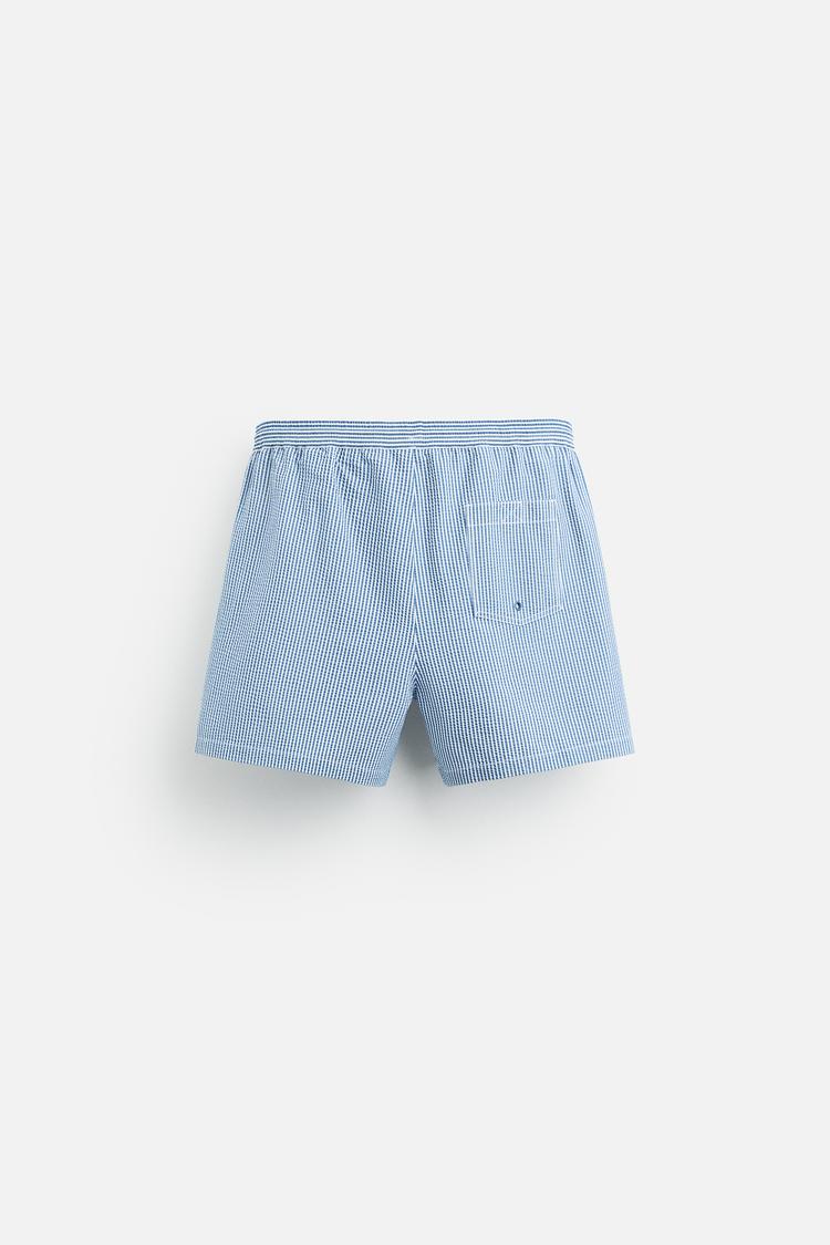 Blue Swim Trunks